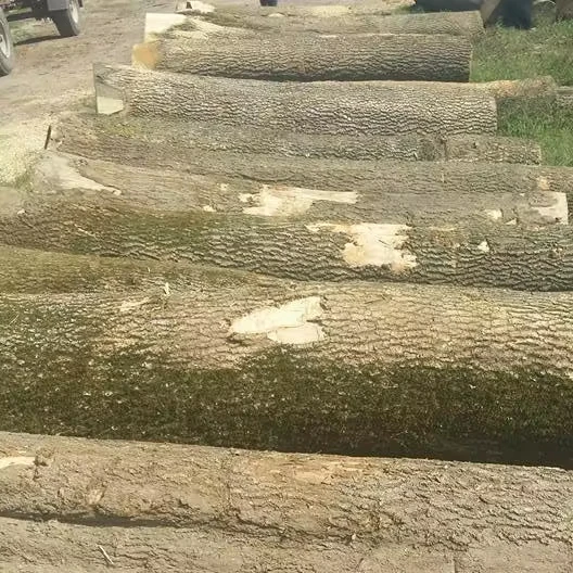 Quality Ash Wood Logs For Sale