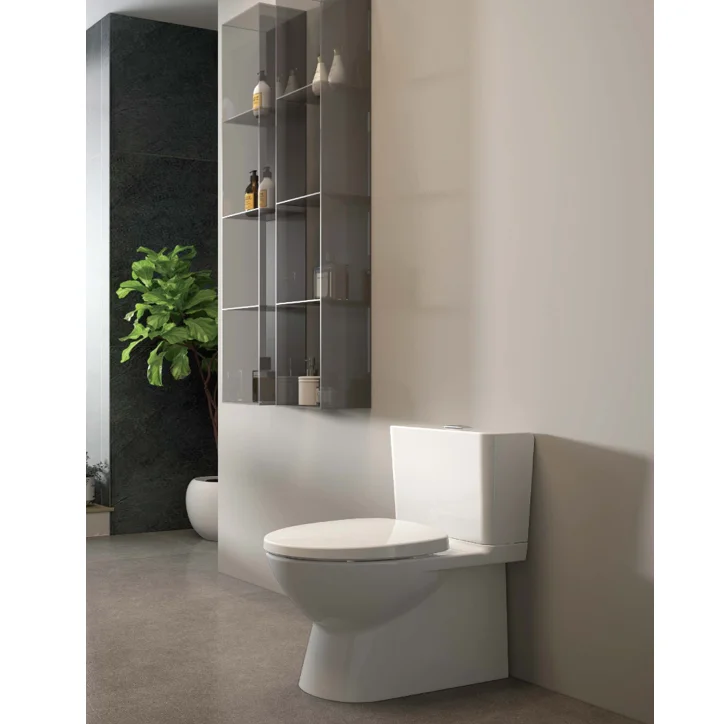 Customization Sanitary Ware Apartment Modern Floor Mounted S-trap Toilet Discharge Ceramic Ceramic Toilet Bowls