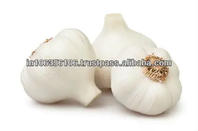 FRESH GARLIC BULB PURE WHITE BEST QUALITY & CHEAP PRICE FOR SALE