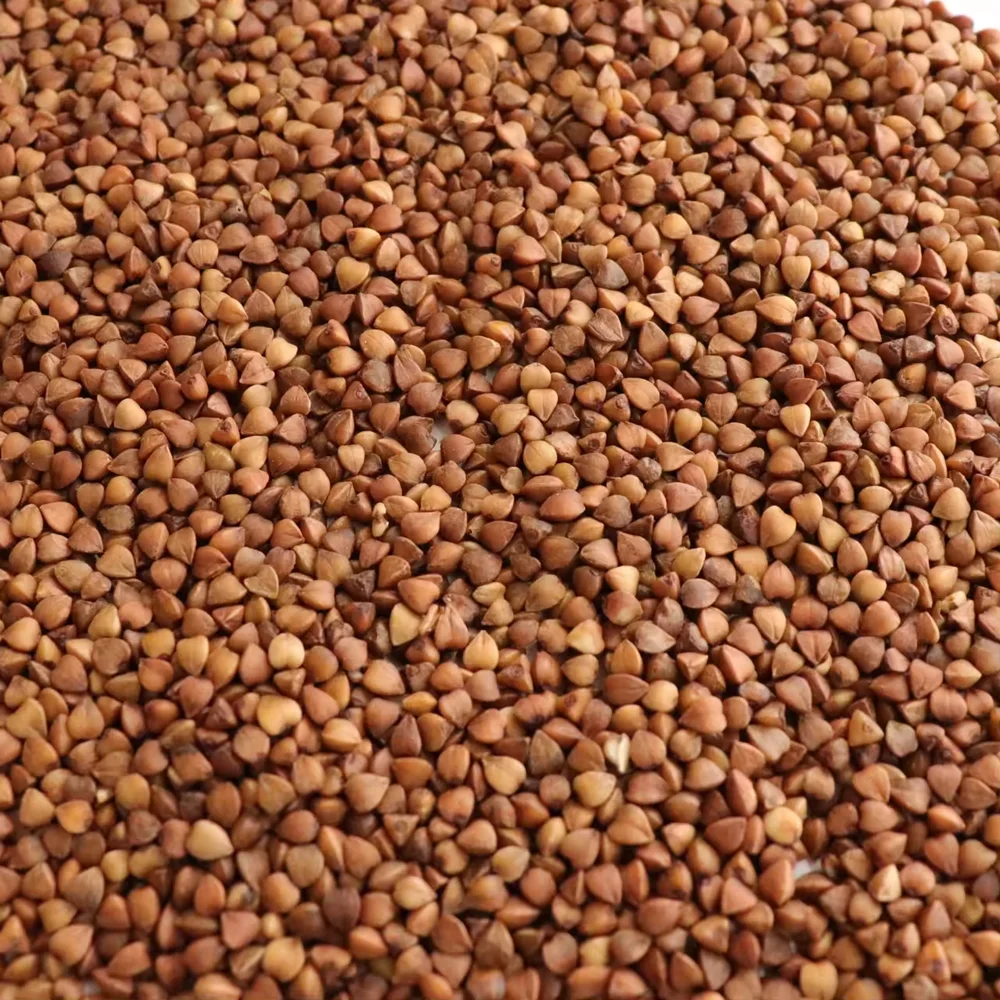 Rich In High Quality Protein Buck Wheat Grain Hot Selling Roasted Buckwheat Kernel