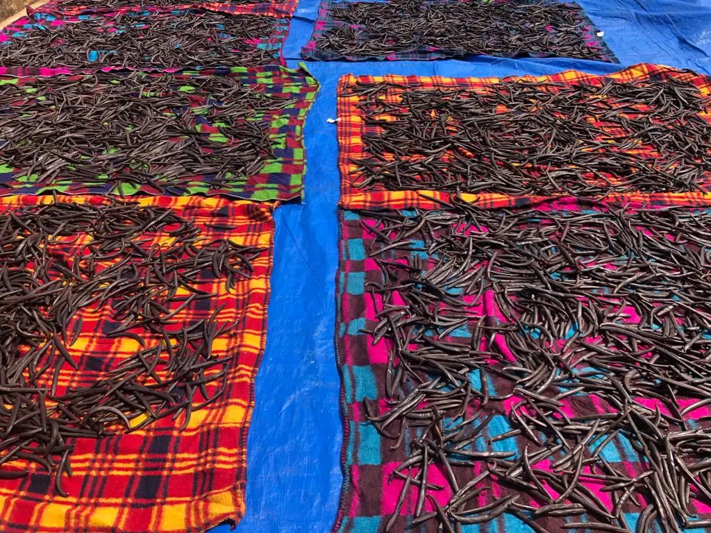 PHOTO-2023-04-13-13-36-37