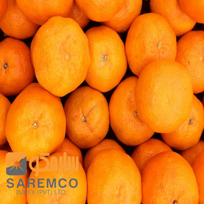 Оптовая продажа высококачественных свежих апельсинов/свежих фруктов