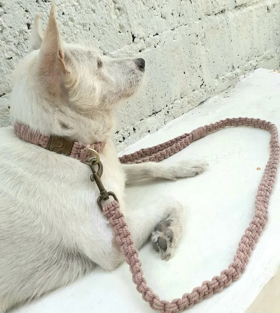Hand Woven Macrame Dog Leash | Luxury Soft and Durable Strong Braided Rope for Pet Training