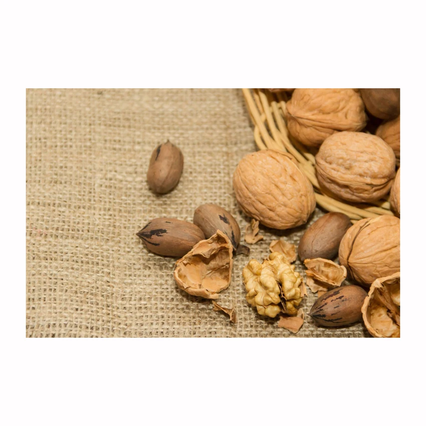 Walnuts Best Seller Manufacturer Wholesale Premium Organic Walnuts in shell Turkey walnut kernel for sale