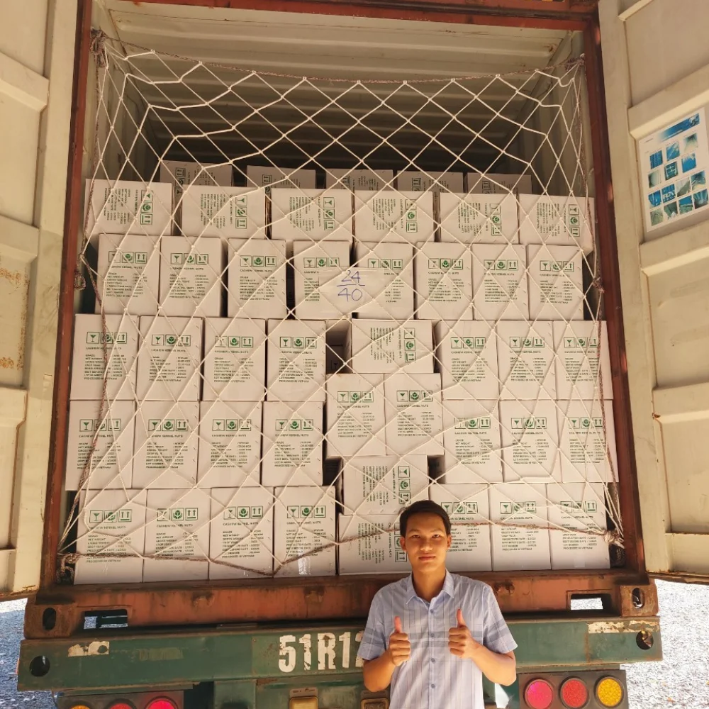 Clean Cashew, Good Taste Kaju Badam Cashew Nuts Vietnam Cashew Exported To US, EU Whatsapp +84909774405 Kai