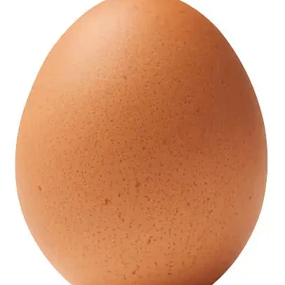 Свежая ферма куриный стол яйца коричневый и белый