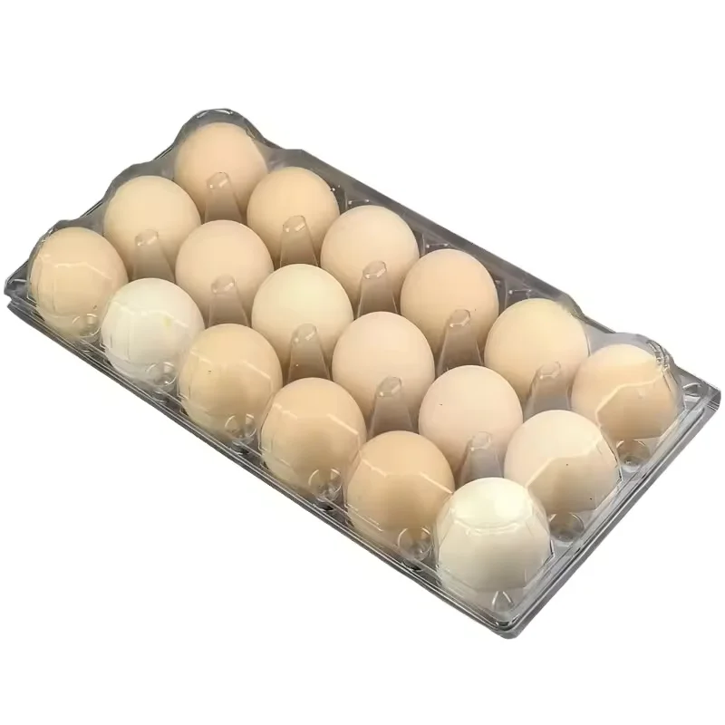Свежие куриные яйца/Яйца круглого стола для продажи/плодородные инкубационные яйца
