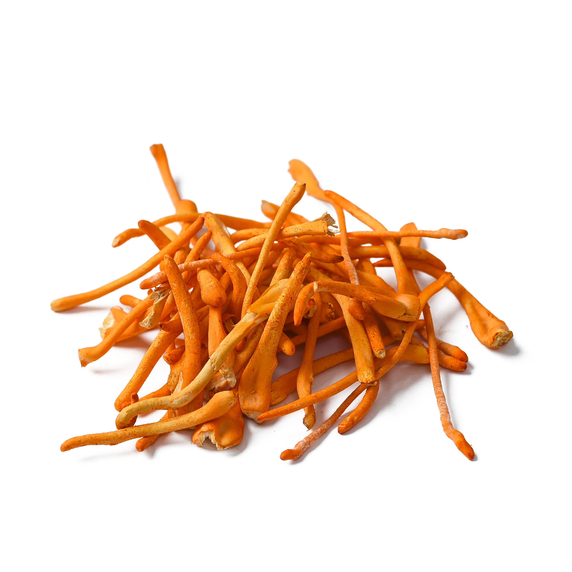 Cordyceps Militaris Mushroom Reasonable Price Standard Special Premium Cordyceps For Food ISO 22000 2018 Customized Packaging