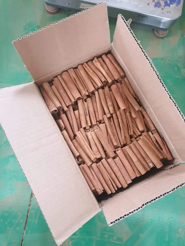 100% Dried Cortex Cinnamon Cassia Stick / Good Factory Price For Export / Vietnam