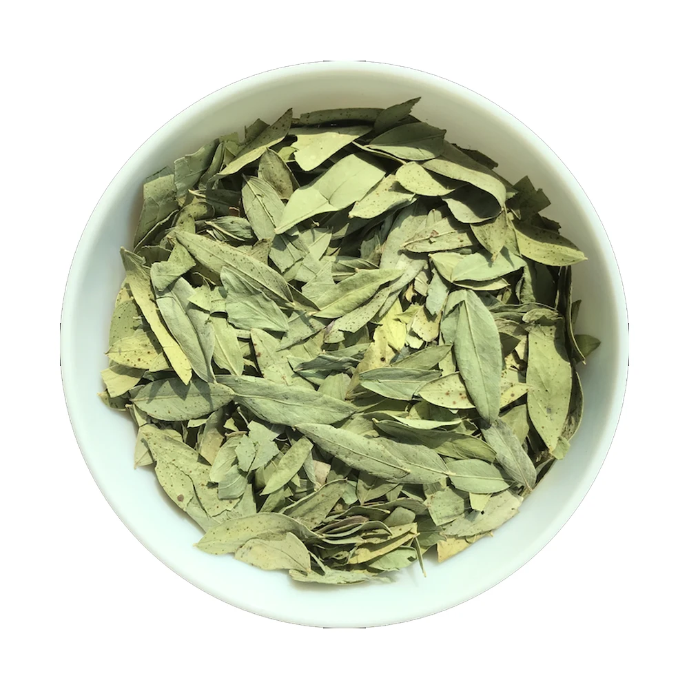 High quality Senna Leaves  Bulk Supply