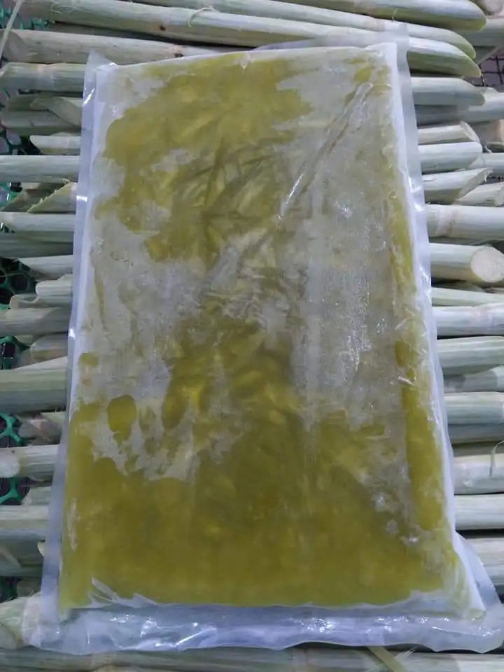 Premium Quality Sugar Cane Stick/ Frozen Sugar Cane Juice Origin in Vietnam with Competitive Price for Buyer