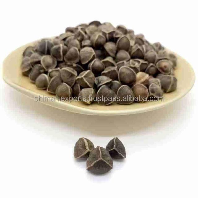 Top Grade Premium Quality Moringa Seeds Raw and Dried Powder from India Manufactured and Supplied by Trusted Exporter