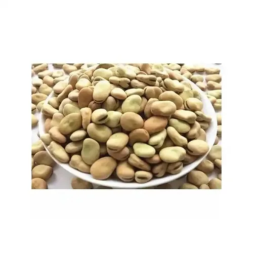 Hot sales  Wholesale Nutritious Good Price Broad bean Dried Vegetable Bean Fava Beans In Bulk cheap price
