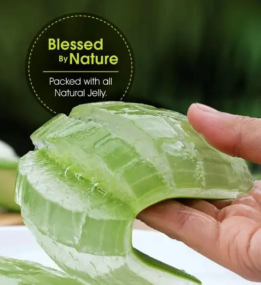 Top Quality Aloe Vera Dried Leaves Used for Skin Nourishment and Hair Scalp Treatment Manufacturers from India with Best Price