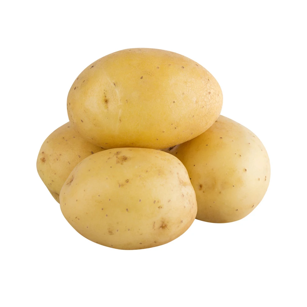 Matured Holland Potato Fresh Potato Price for Sale Hot selling fresh potato with export Custom Logo