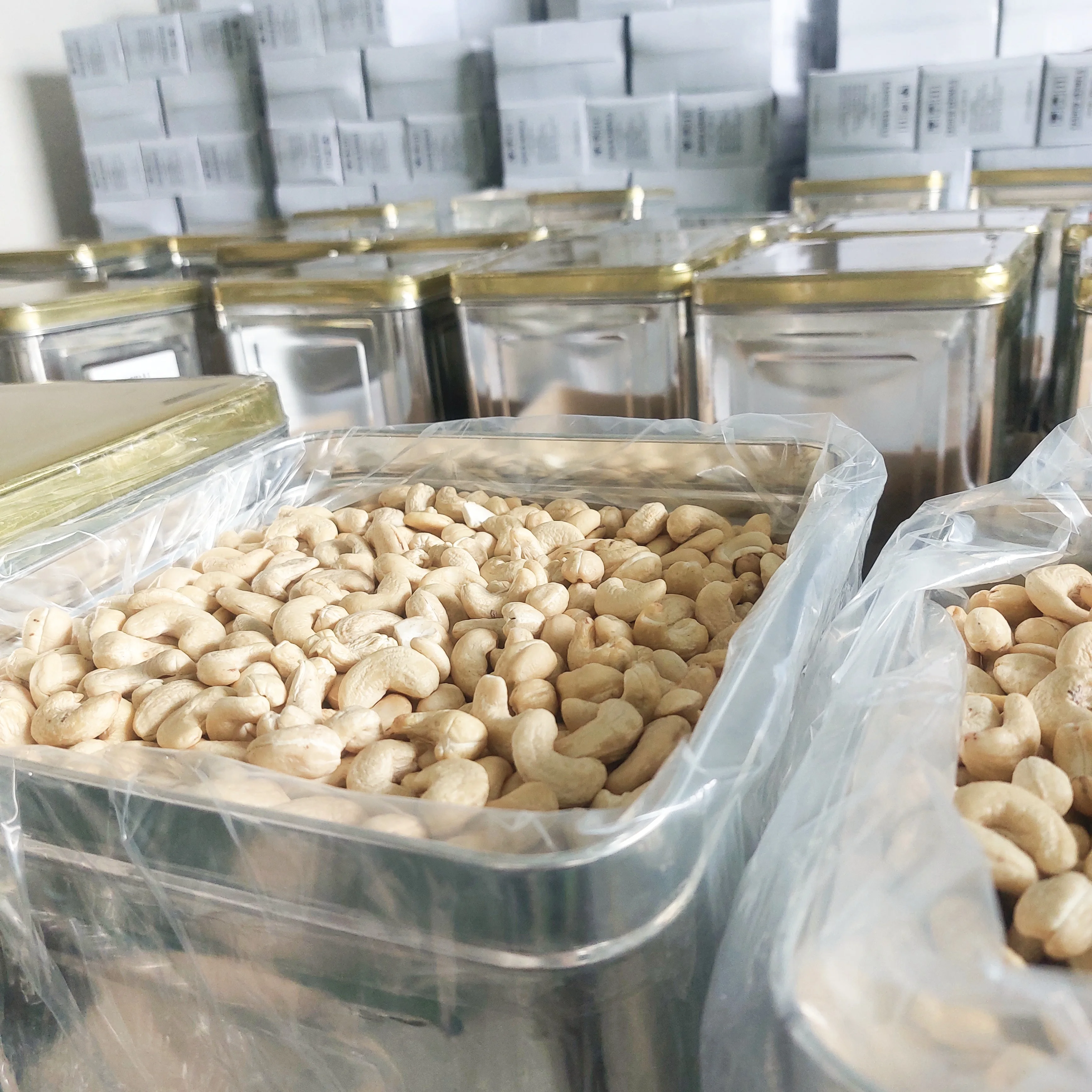 Trusted Supplier Cashew Nuts Cashew Nuts W320 W210 From Santigo Vietnam SK, LP2, LWP