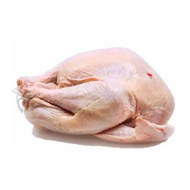 2023 Halal Premium Frozen Chicken Legs /Chicken Drumstick For Good Price Whole Chicken for sale