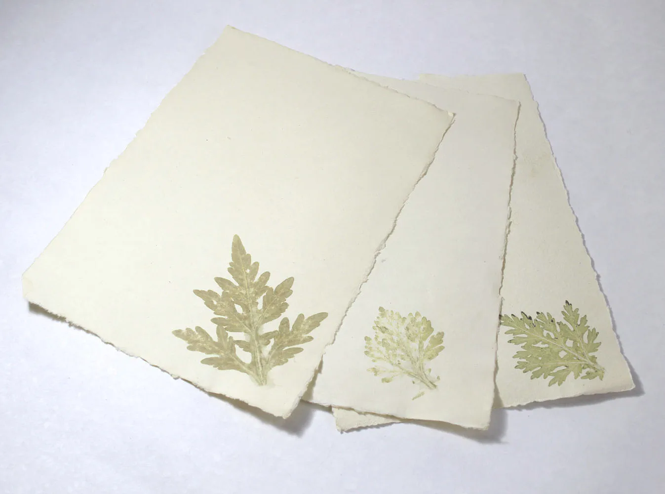 Recycled Handmade Cotton Paper Absolutely Wood / Acid Free Deckle Edged (Natural Edged) A4 Letter Heads Stationery Set