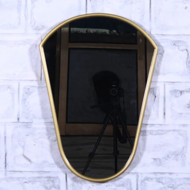 Modern Decorative Wall Mirror with Golden Polish Frame