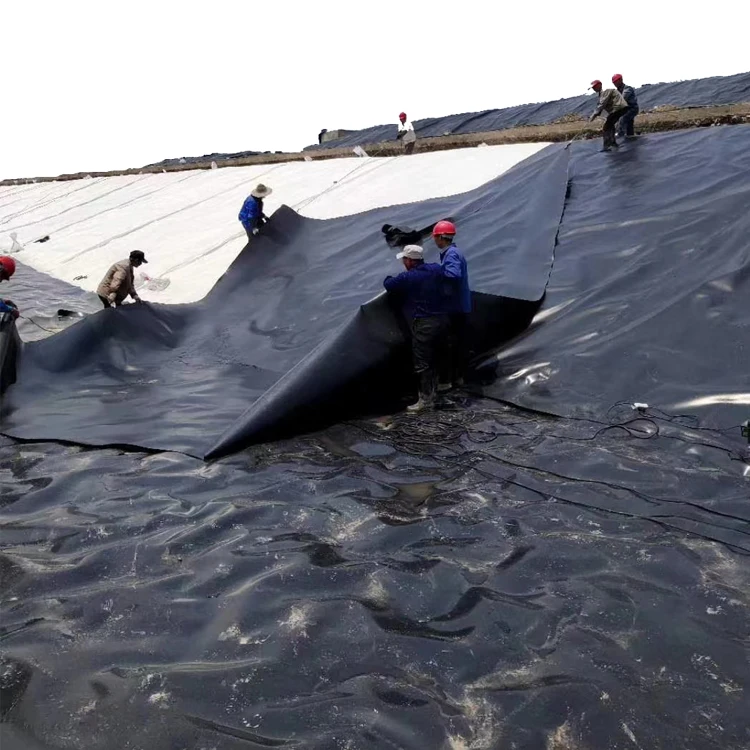 Plastic Geomembranes 0.5 Mm 0.75 Mm 1.0 Mm 1.5 Mm 2.0 Mm 3 Mm HDPE Geomembranes Fish Dam Pond Liner Polyethylene Geomembrane