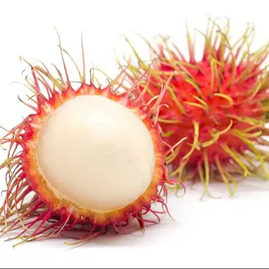 Top Selling Vietnam Manufacturer High Quality Canned Tropical Rambutan In Light Syrup With Cheap Price