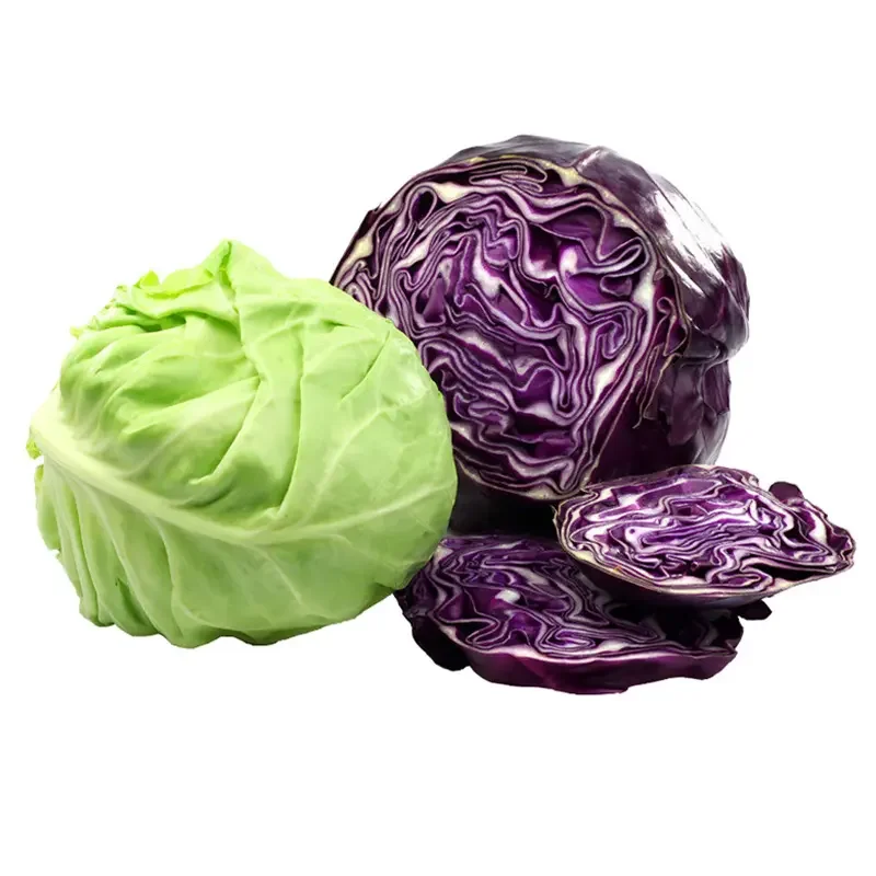 Cabbage19.png