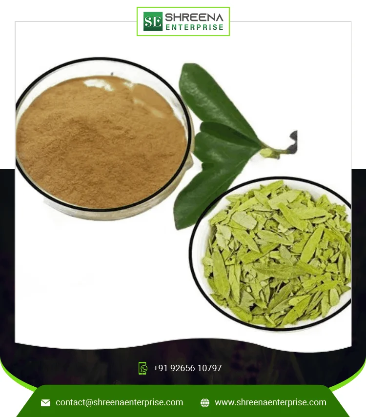 Senna Dry Extract Powder Wholesale Price Senna Dry Extract Indian Factory Price Senna Leaf Extract