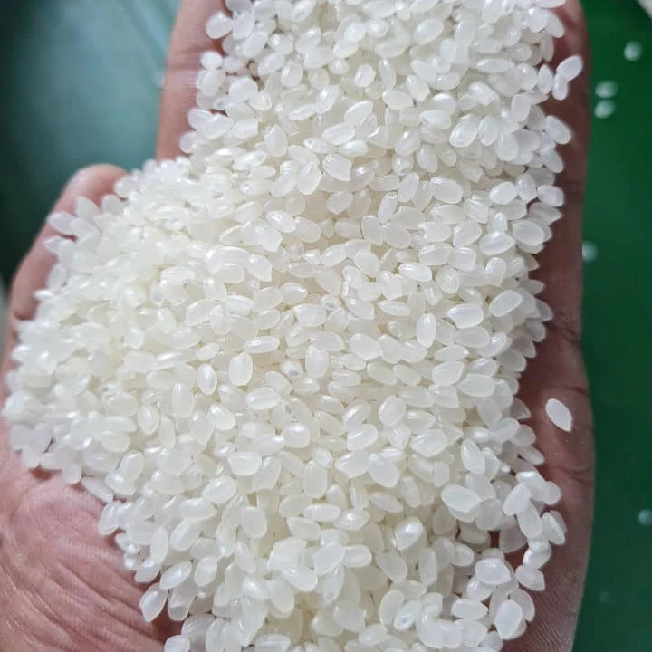 Wholesales Viet Nam Japonica rice Sushi rice At Factory US EU export standard quality  / Ashley +84-857622959 ( WhatsApp/Viber)