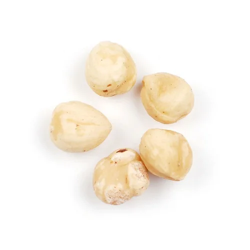 High quality organic with shells hazelnut whole loose Dried raw nuts Hazelnuts