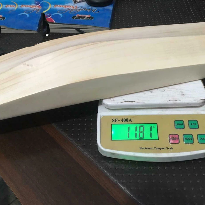 Wholesale Best Selling Plain Kashmir Willow Hand Made Strong Grip Short Handles Professional Hard Ball Net Training Cricket Bats