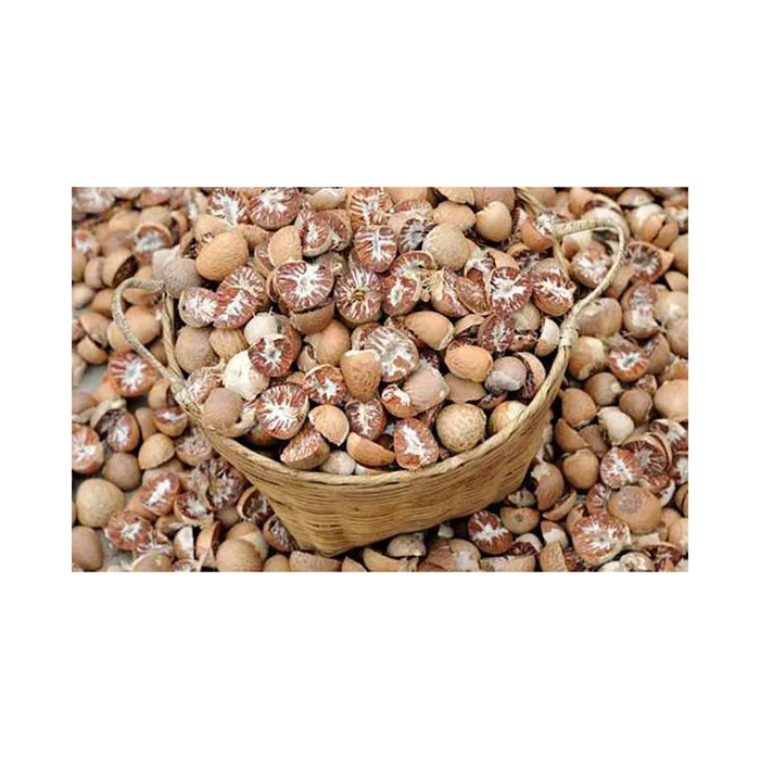 Betel Nut Dried Supari in Hot Sale With High Quality Newly Crop in Ready For Export