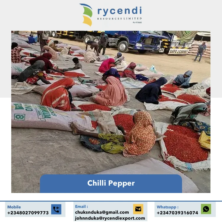 Best Quality Single Spices & Herbs Wholesale Dried Red Hot Spice Round Stemless Red Chilli Pepper from Nigeria