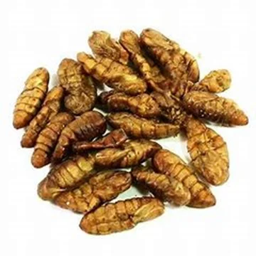 Frozen Dried Silkworm Pupae Meal Animal Feed for Fish