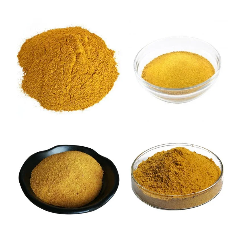 Corn gluten meal/ Yellow Corn Maize Grains for Animal Feed wholesale price