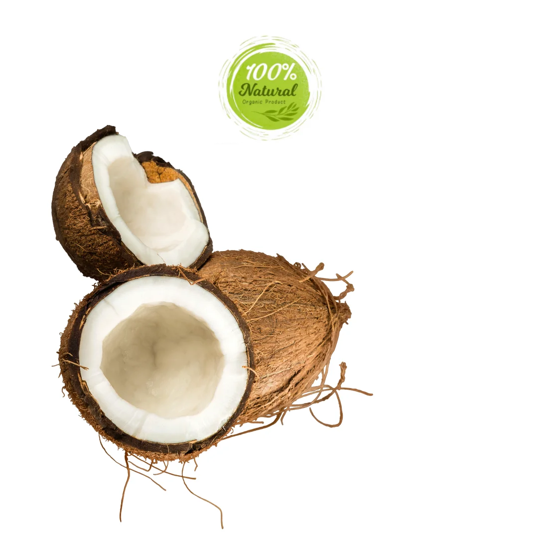 How dried coconut complements the flavors of dark chocolate