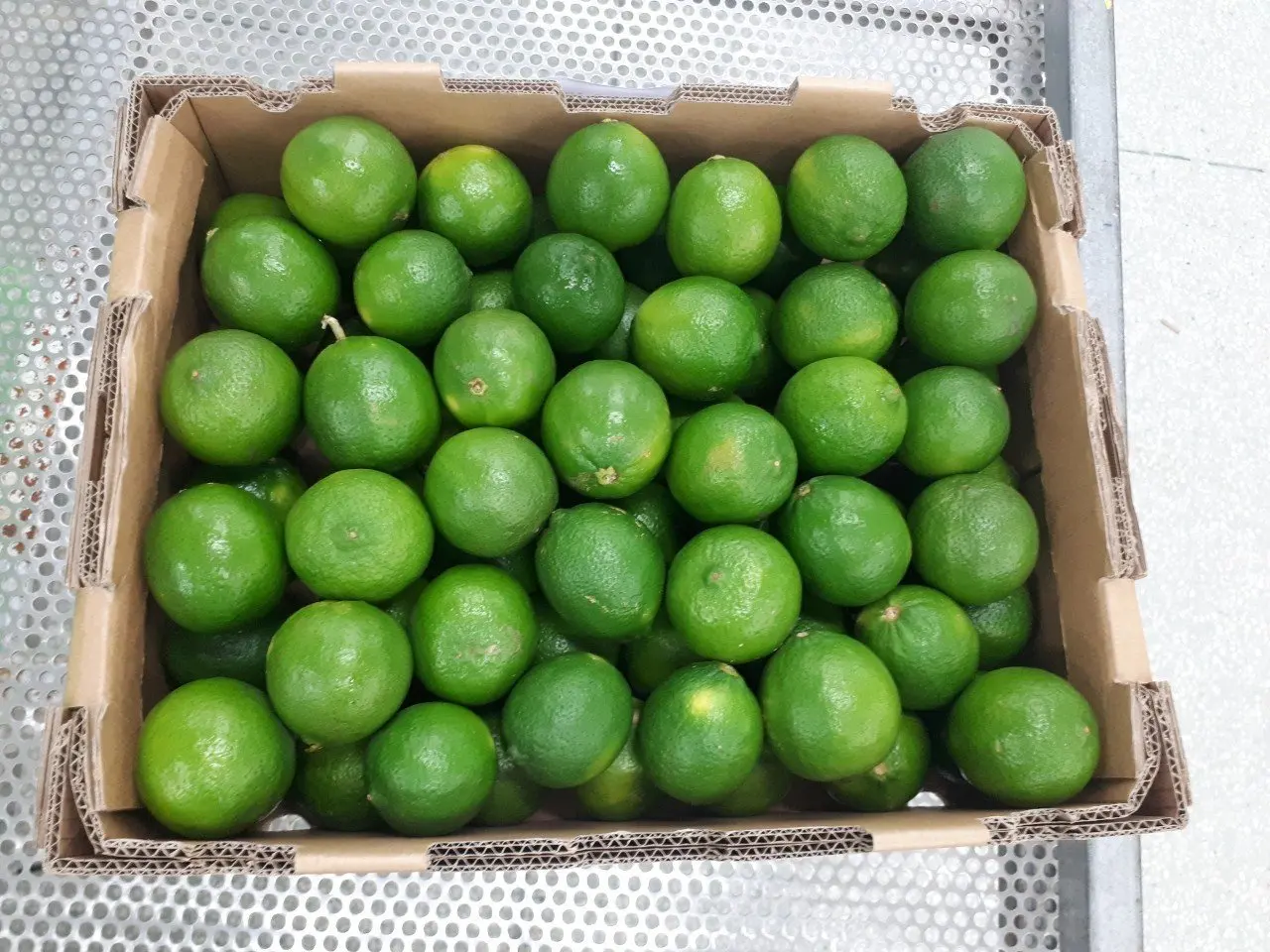 SEEDLESS LIME FRESH NATURAL JUICY CITRUS PREMIUM QUALITY PRODUCED IN VIETNAM COMPETITIVE PRICE