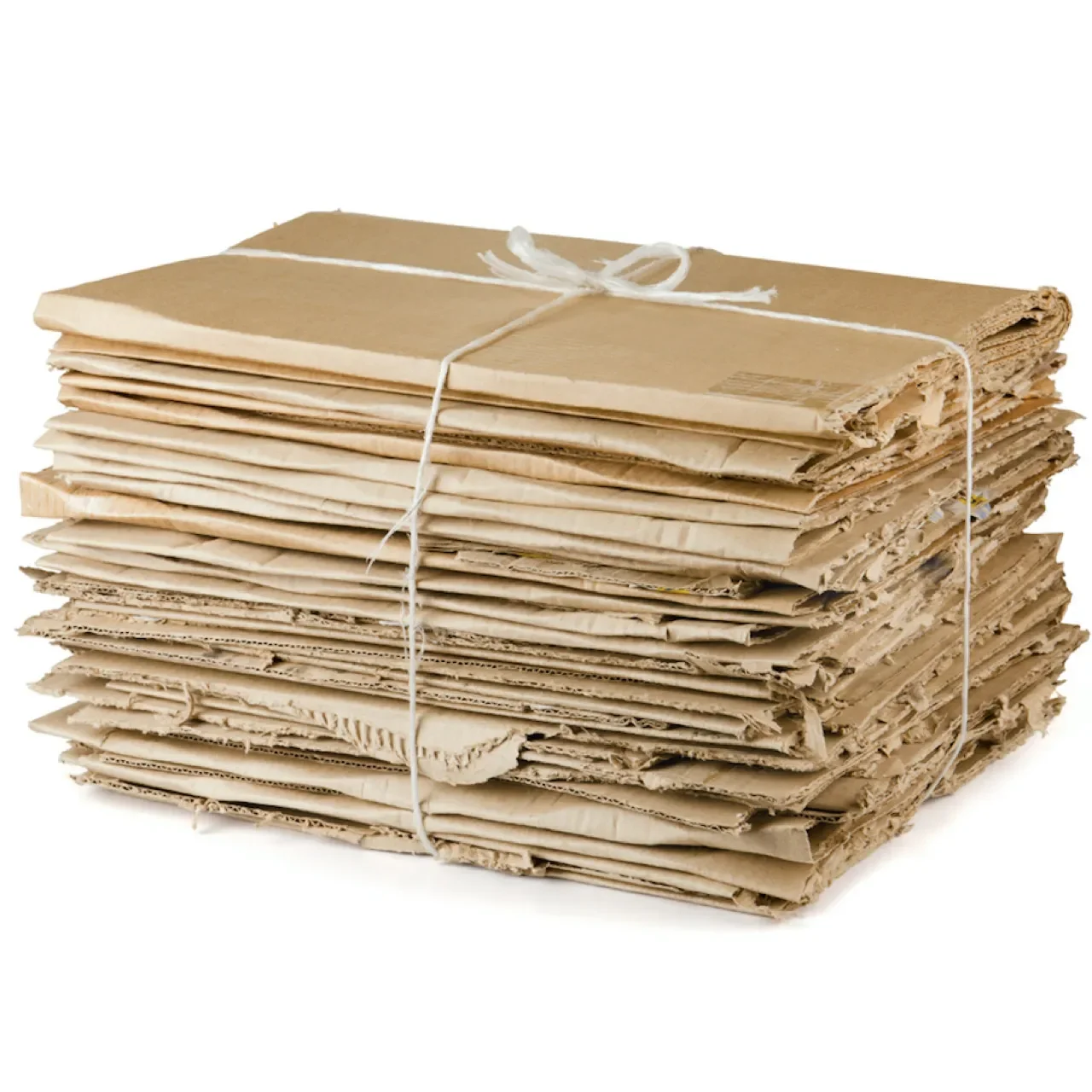 20ft Occ waste Scraps papers / Clean ONP papers scraps