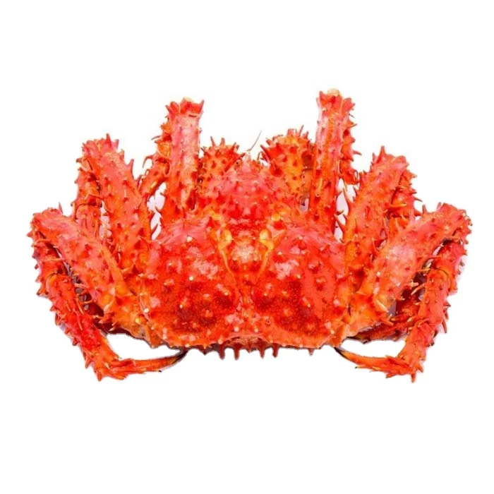 Король краб красный замороженный король живой канадский