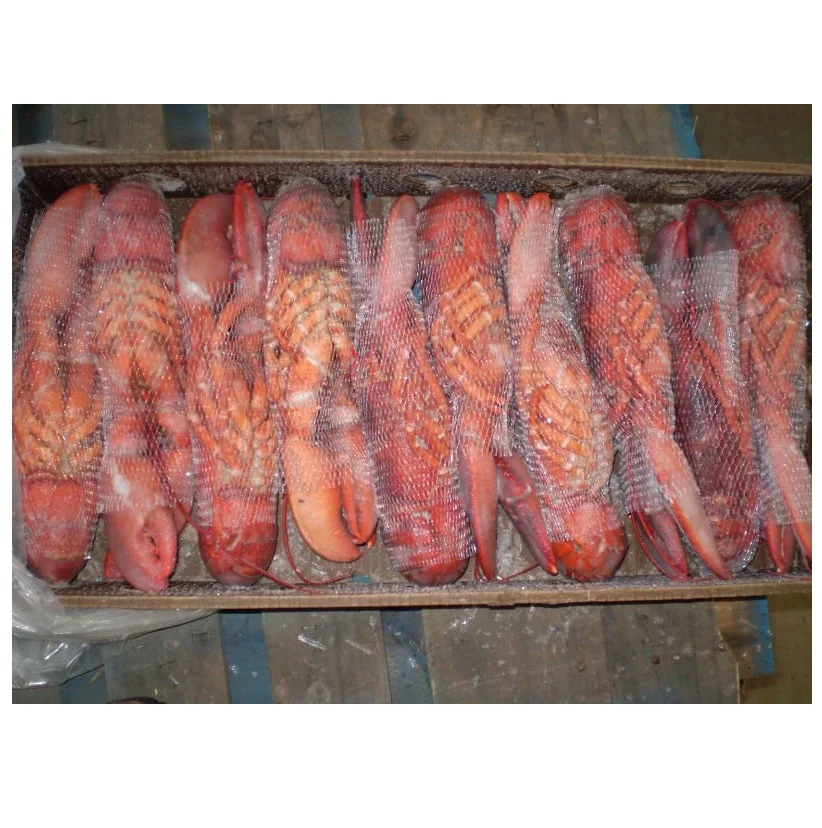 Live Lobsters Frozen Lobster Tails / Live Lobster For Sale Lobster Tails Wholesale / Live Lobster Price