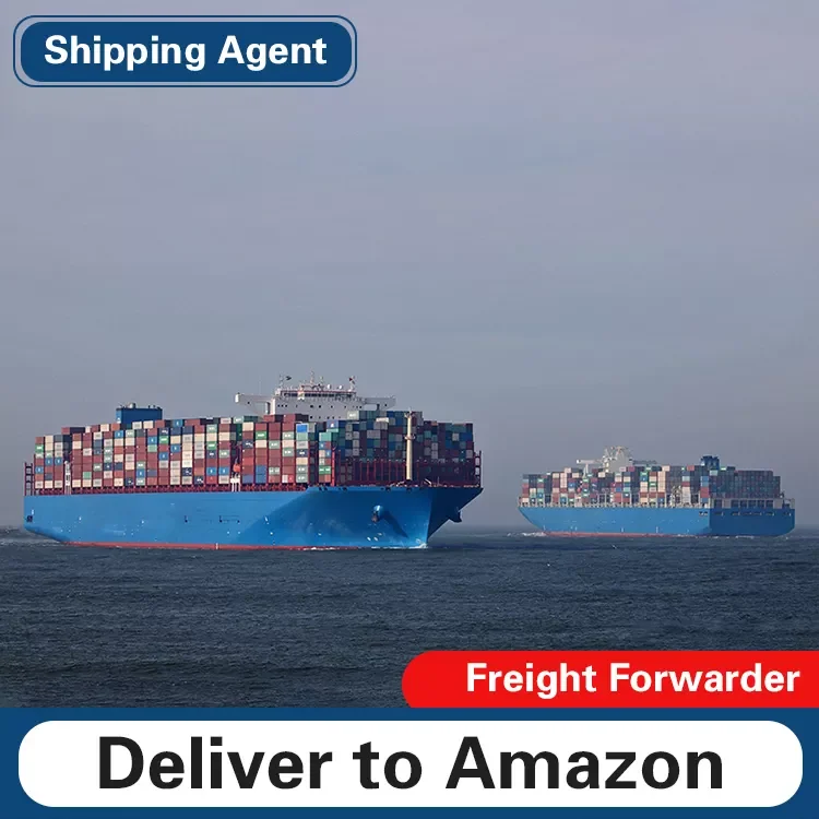 shenzhen To Angola Nigeria Ghana Kenya Senegal Cameroon ddp lcl cheap Sea Freight