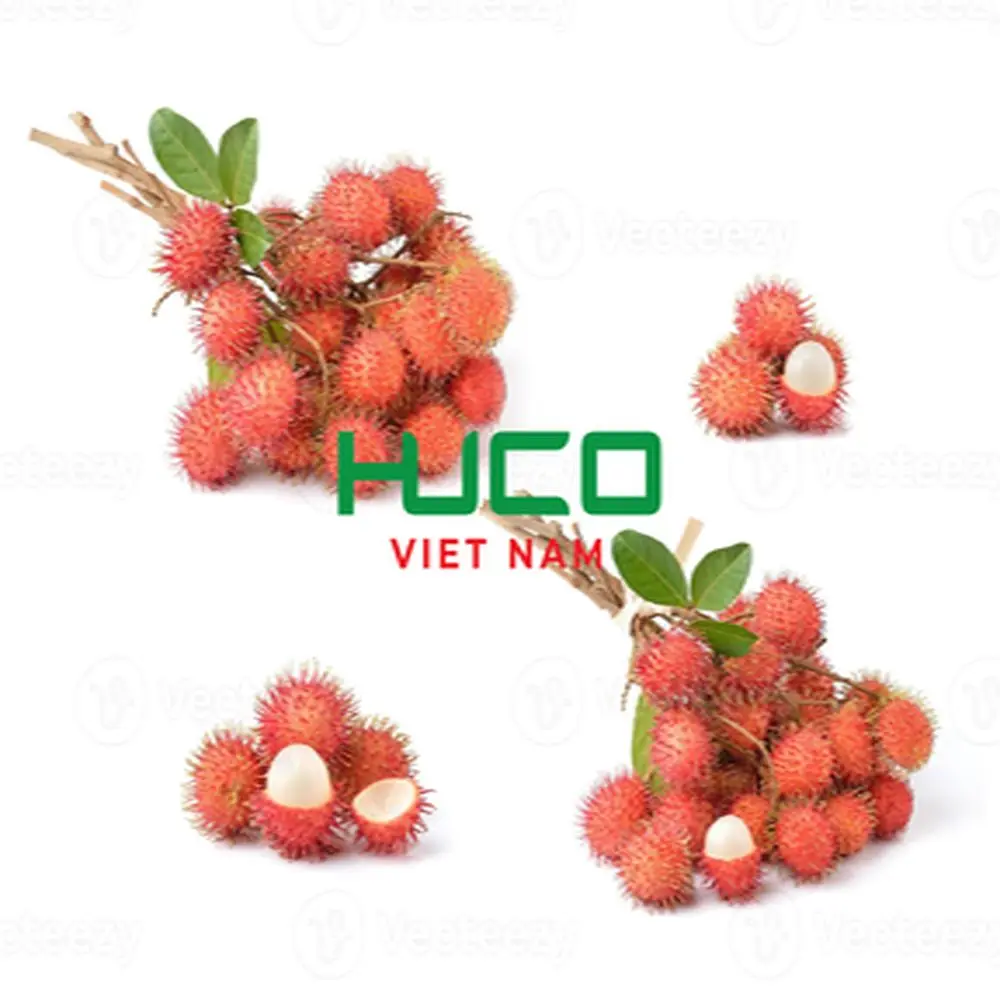 Best Quality Good Price 100% Organic Fresh Rambutan From Vietnam