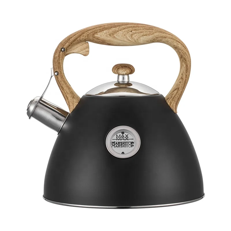 Kitchen Home 3L Coffee Tea Water Kettle Color Painting Stainless Steel Whistling Kettle Tea Pot With Wood Handle