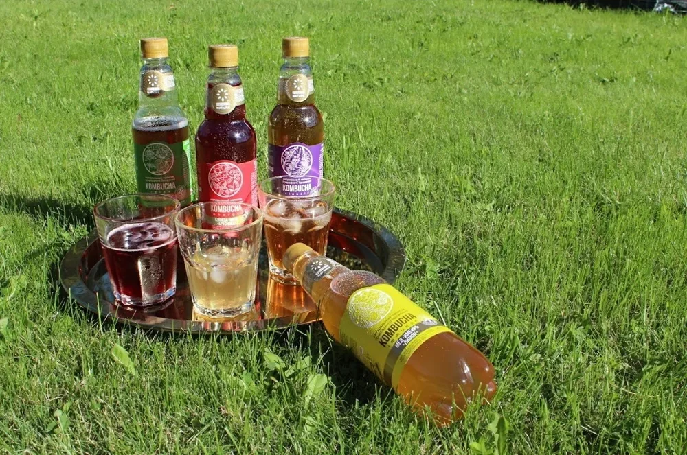 Natural fermented no presernatives and food colors Ivan-tea extract Kombucha-Classic lightly carbonated drink for food