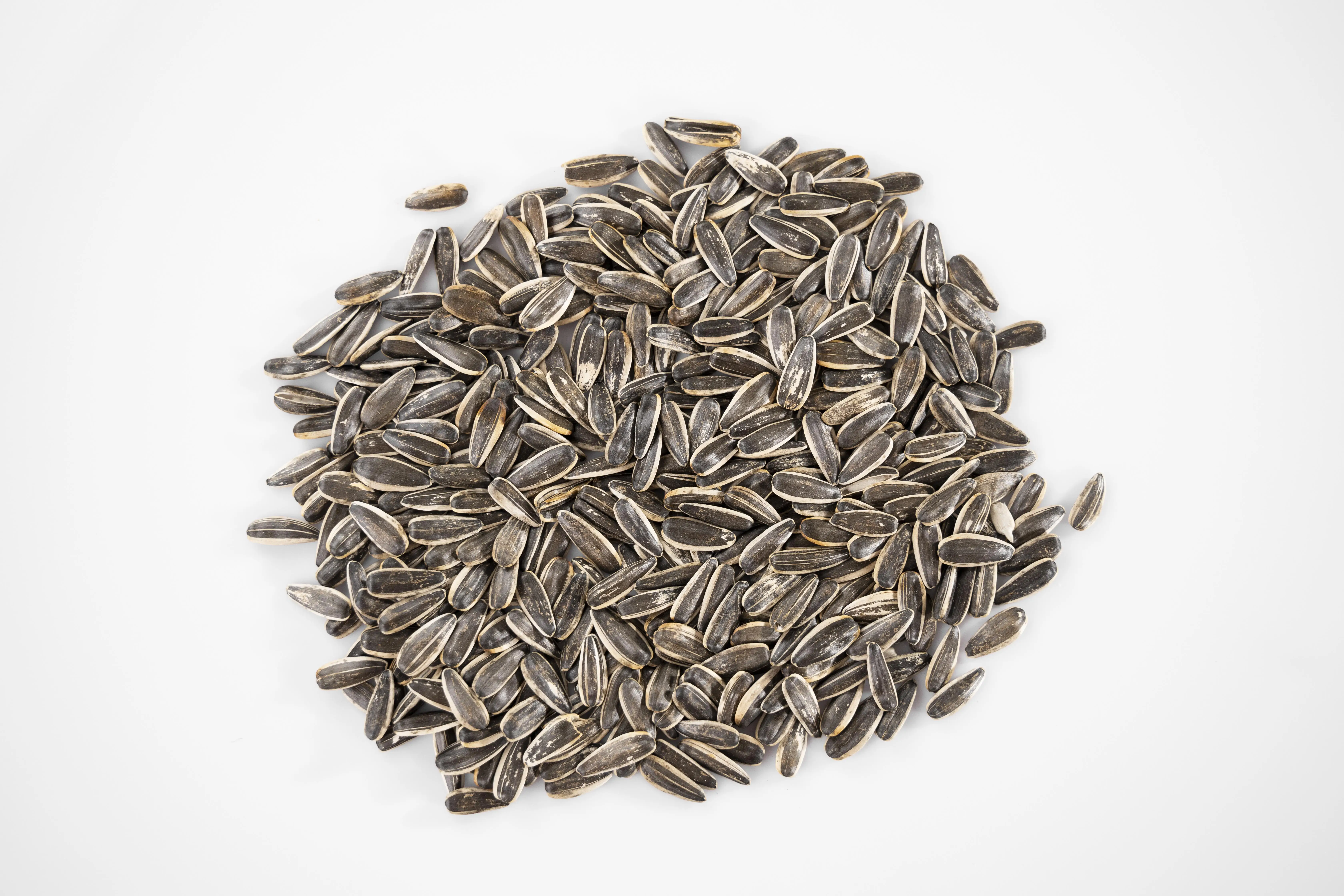 Suppliers Sunflower Seeds Raw Sunflower Karnells in Shell Sale China Bag OEM Shell Box Style Packaging FOOD Natural Taste