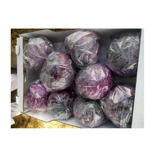 Trusted Egypt Origin Supplier of Top Quality New Crop Fresh Vegetables Red Cabbage at Reliable Market Price