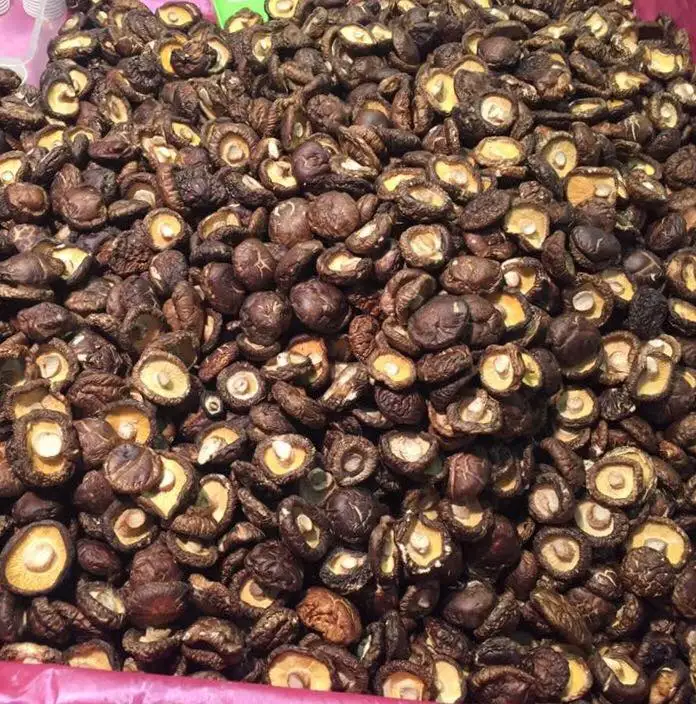 Good Shiitake Mushroom
