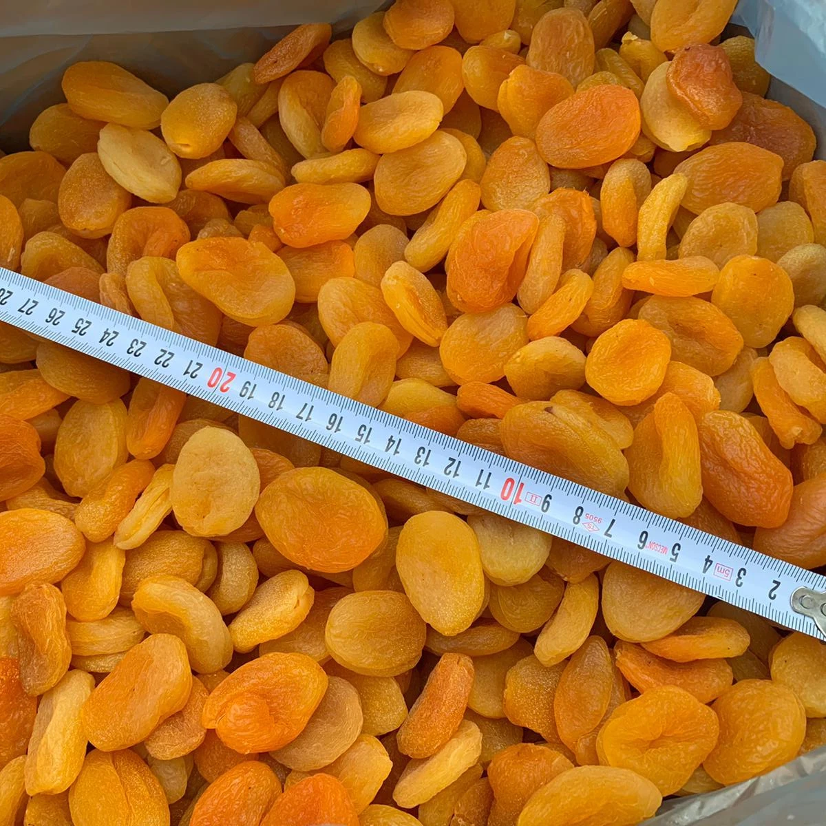First Quality Turkish Dried Apricot and Free Gifted Storage Box Container OEM Spices Bulk or Package