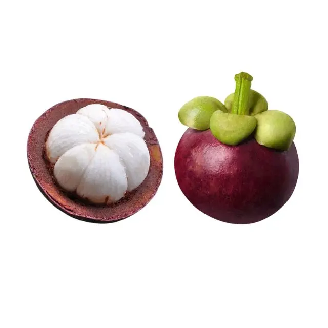 Fresh Mangosteen Thai  Fruit, New Fresh Arrival Extract, High Quality Tropical Fruits For Export