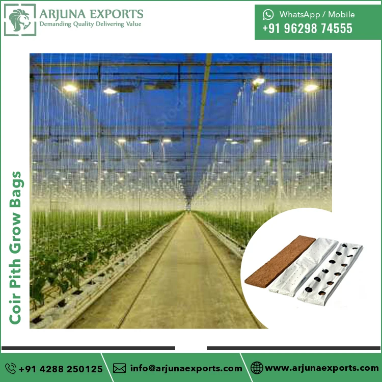 Top Quality Wholesale Coco Coir Pith Substrate Flowers and Vegetables Planting Grow Bags Use in Green Houses