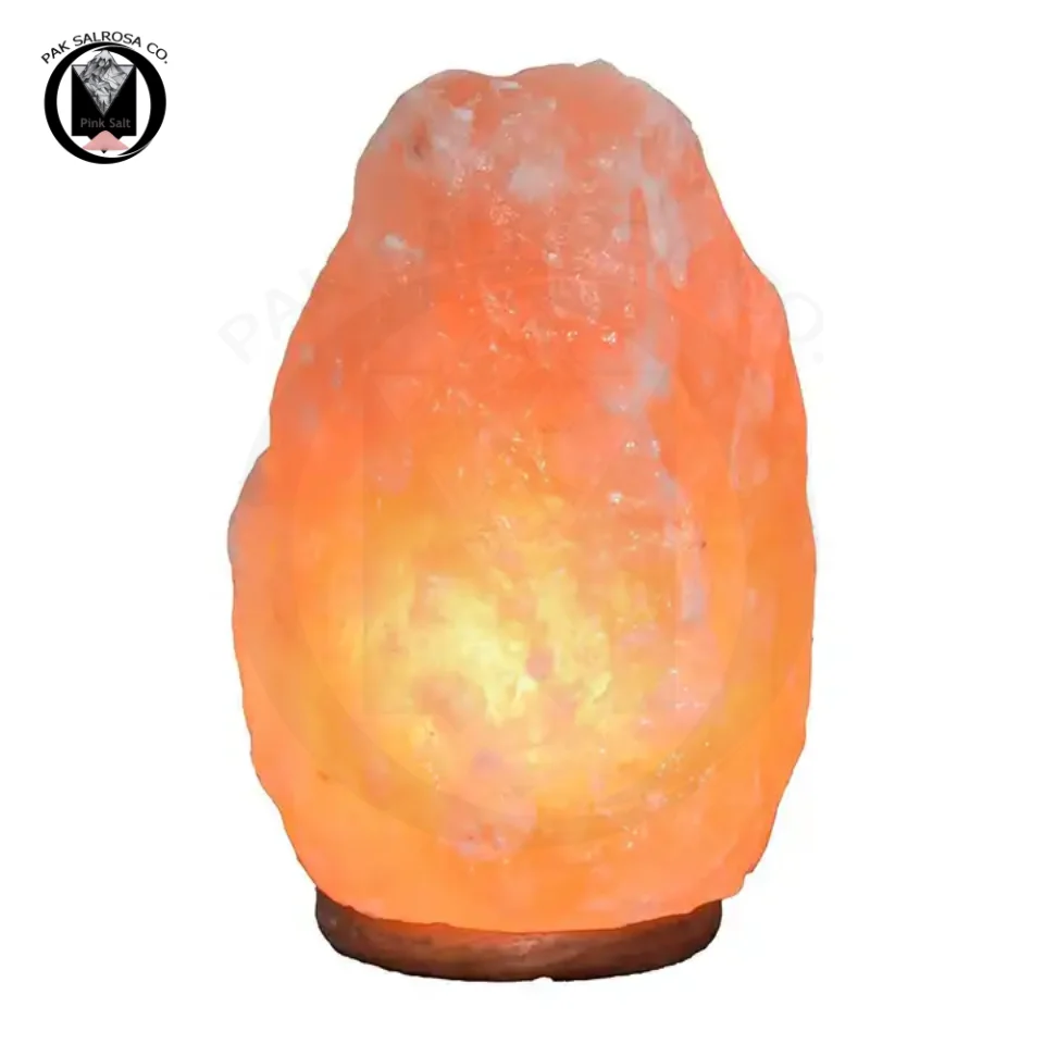 Natural Himalayan Salt Rock Lamp Hand Carved Customized Design USB Wholesale Himalayan Salt Lamps By PAK SALROSA & CO